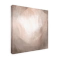 thumbnail image 2 of Emma Caroline 'Blush Prism I' Canvas Art, 2 of 3