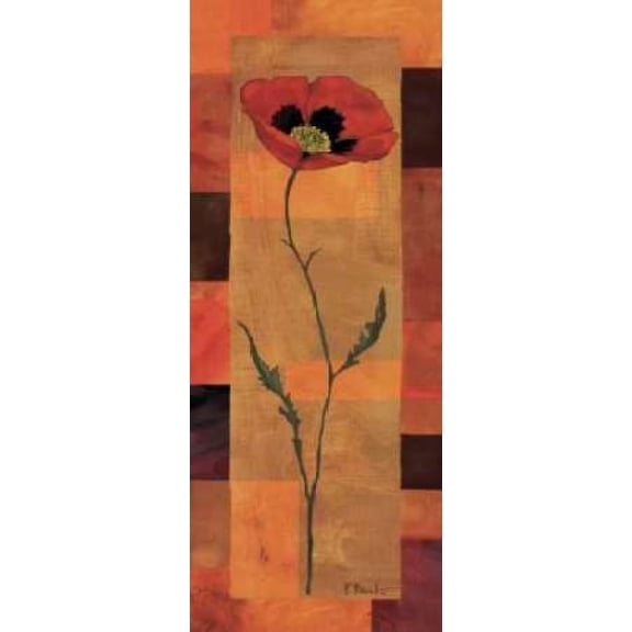 Goa Poppy Panel I Canvas Art - Paul Brent (10 x 20)