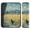 Black Cat Walking Fields, variant on 2-Pack Seat Belt Covers with Flannel Seatbelt Shoulder Strap Case Adjustable Straps Soft Padding for Car Blue Sea Turtle Pattern Small