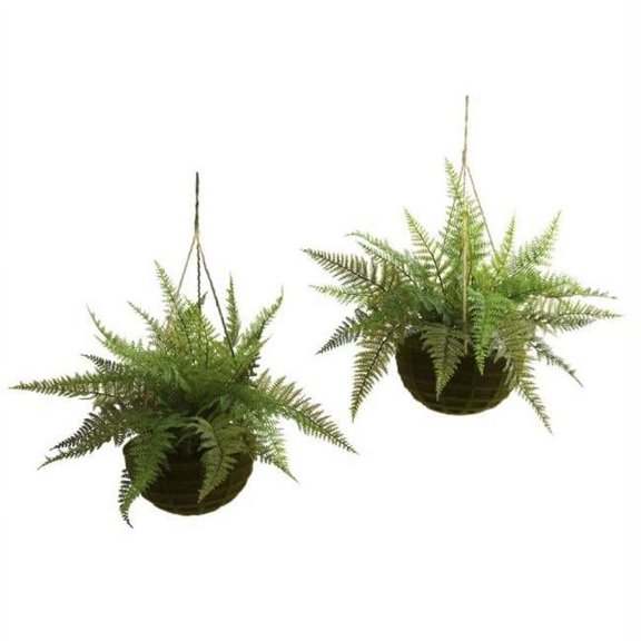 Leather Fern with Mossy Han- ng Basket - Indoor-Outdoor - Set of 2