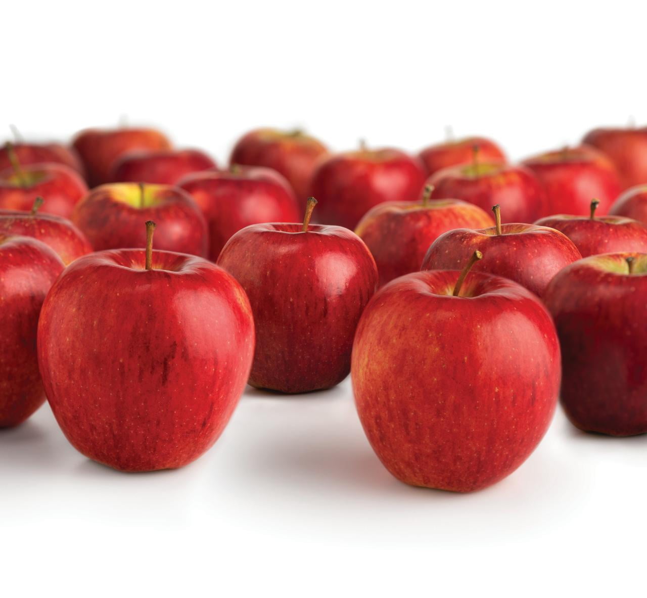 Envy - Envy Apples (Per lb)  Online grocery shopping & Delivery - Smart  and Final