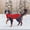 Red, variant on Pet Artist Waterproof Dog Coat Winter Fleece Clothes Reflective Pet Jacket Jack Russell Pug