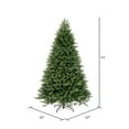 thumbnail image 3 of Vickerman 6.5' x 52" Tiffany Fraser Fir Artificial Christmas Tree, Unlit, 3 of 7
