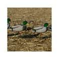 thumbnail image 3 of GHG FFD Elite Mallard Harvester Full Body Duck Decoy 6PK, 3 of 3