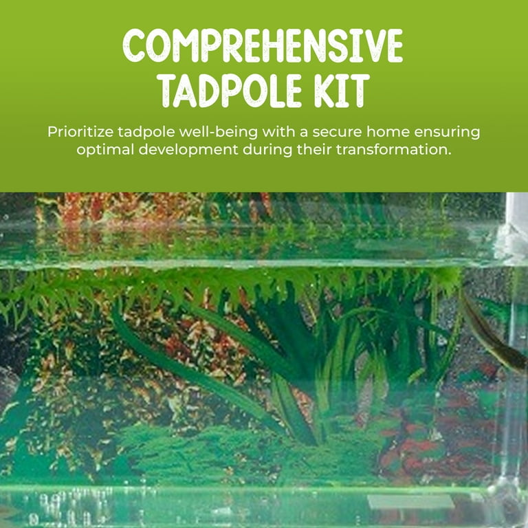 Frog Growing Kit: 2-Gallon Habitat with 2 FREE Tadpoles - Certificate to  Redeem