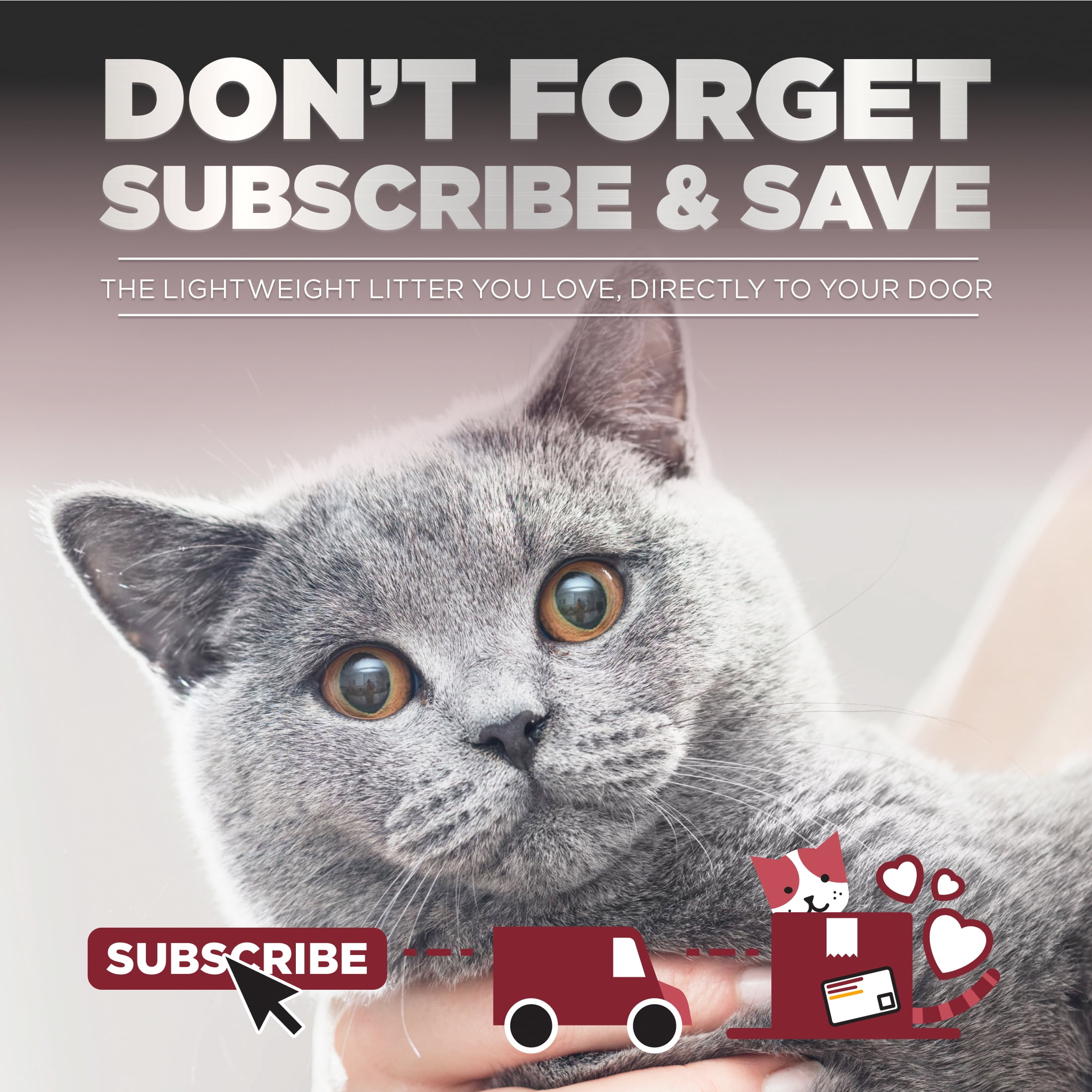 Arm & Hammer Litière pour Chat en Argile Platinum Clump & Seal, Multi-Chat, 18.14kg, Nettoyage Facile, Agglomérats Durs, Contrôle des Odeurs, Sans Poussière