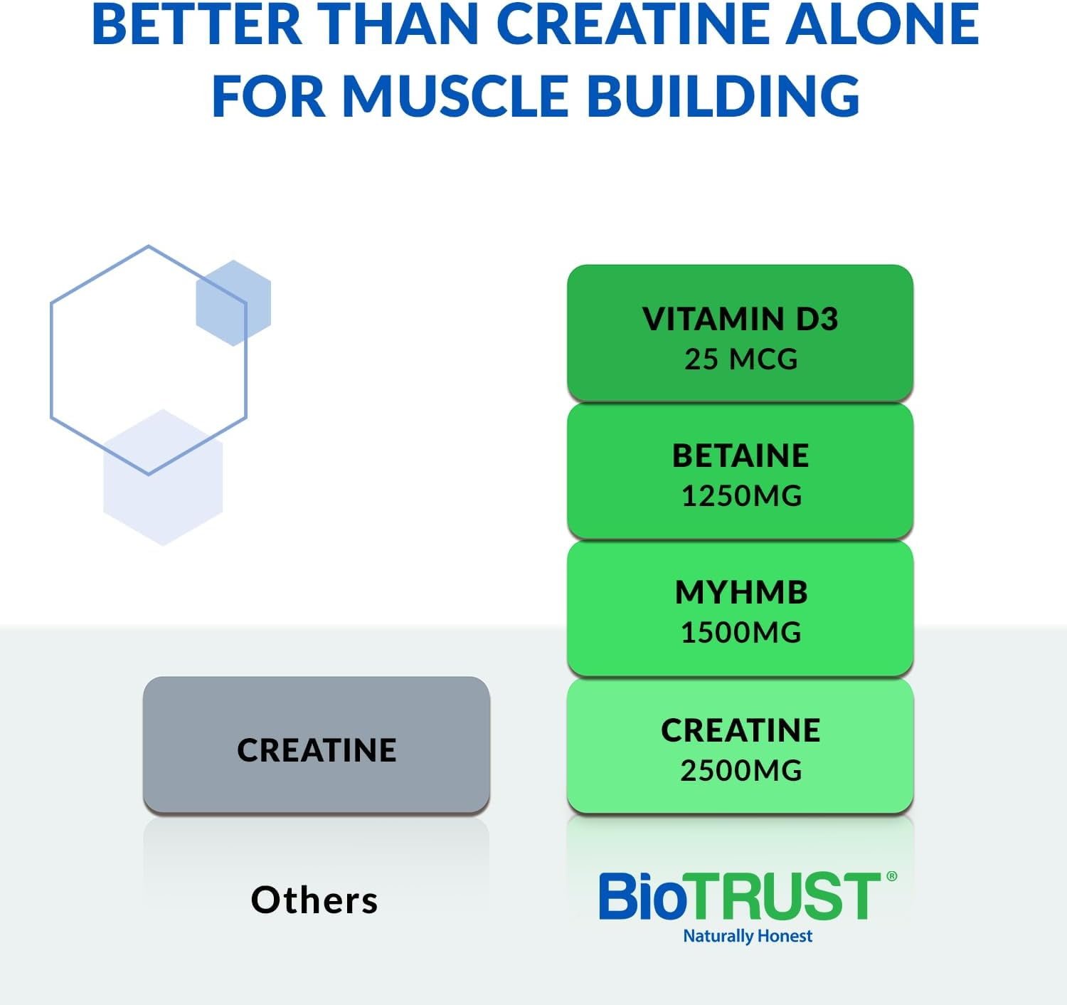 BioTrust Ageless Muscle Builder - Creatine HMB Powder with Vitamin D3 & Betaine - Build & Preserve Naturally Declining Muscle Mass & Strength - Unflavored, 30 Servings