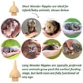 thumbnail image 2 of Baby Animal Nursing Set (Basic), 2 of 7