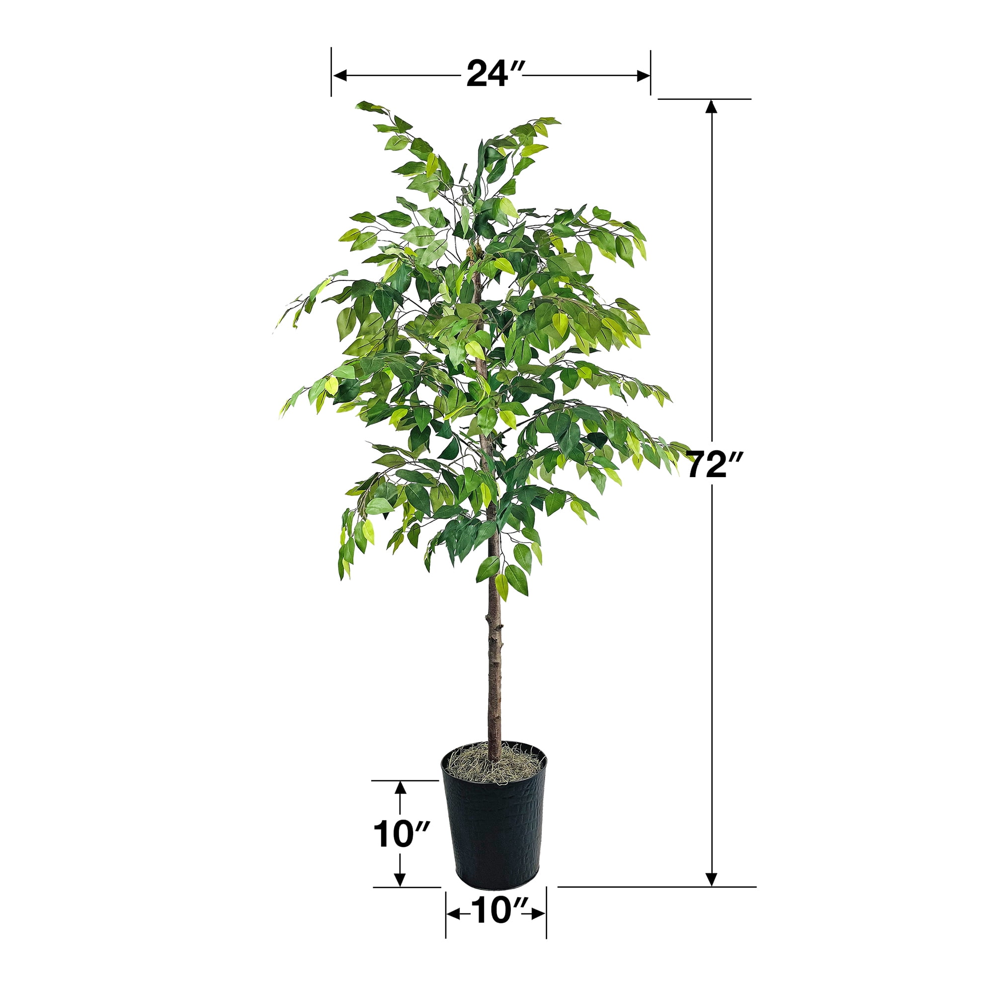 Mainstays Artificial Tree, Ficus Tree, 6 ft, Black Embossed Metal Planter