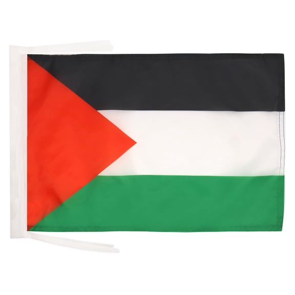 AZ Flag Palestine Flag 12x18 in Palestine 100D Polyester Cords 45x30 cm
