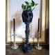 thumbnail image 4 of Maceta de calavera de 12 pulgadas con columna vertebral, maceta de resina realista con forma de calavera, maceta gótica, decoración de Halloween, decoración para el hogar, oficina, escritorio, manuali, 4 of 5