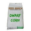 Dinner Getter Deer Food Plot Corn Seeds - 250 Seeds to Grow Deer Food ...