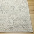thumbnail image 4 of Hauteloom Manju Hallway, Kitchen Runner Rug - Traditional - Cream, Beige, Medium Gray - 2'7" x 7'7", 4 of 9