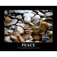 thumbnail image 2 of Peck, Gail 14x12 Gold Ornate Wood Framed with Double Matting Museum Art Print Titled - Peace, 2 of 4