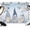 Light Blue, variant on 7x5ft Photo Backdrop, Sky Blue Gnomes Coastal Soft Polyester Backdrop Curtains Photography Backdrops, Eucalypus Starfish Shell Anchor Brushed Background for Photoshoots Studio Video Portrait Parties