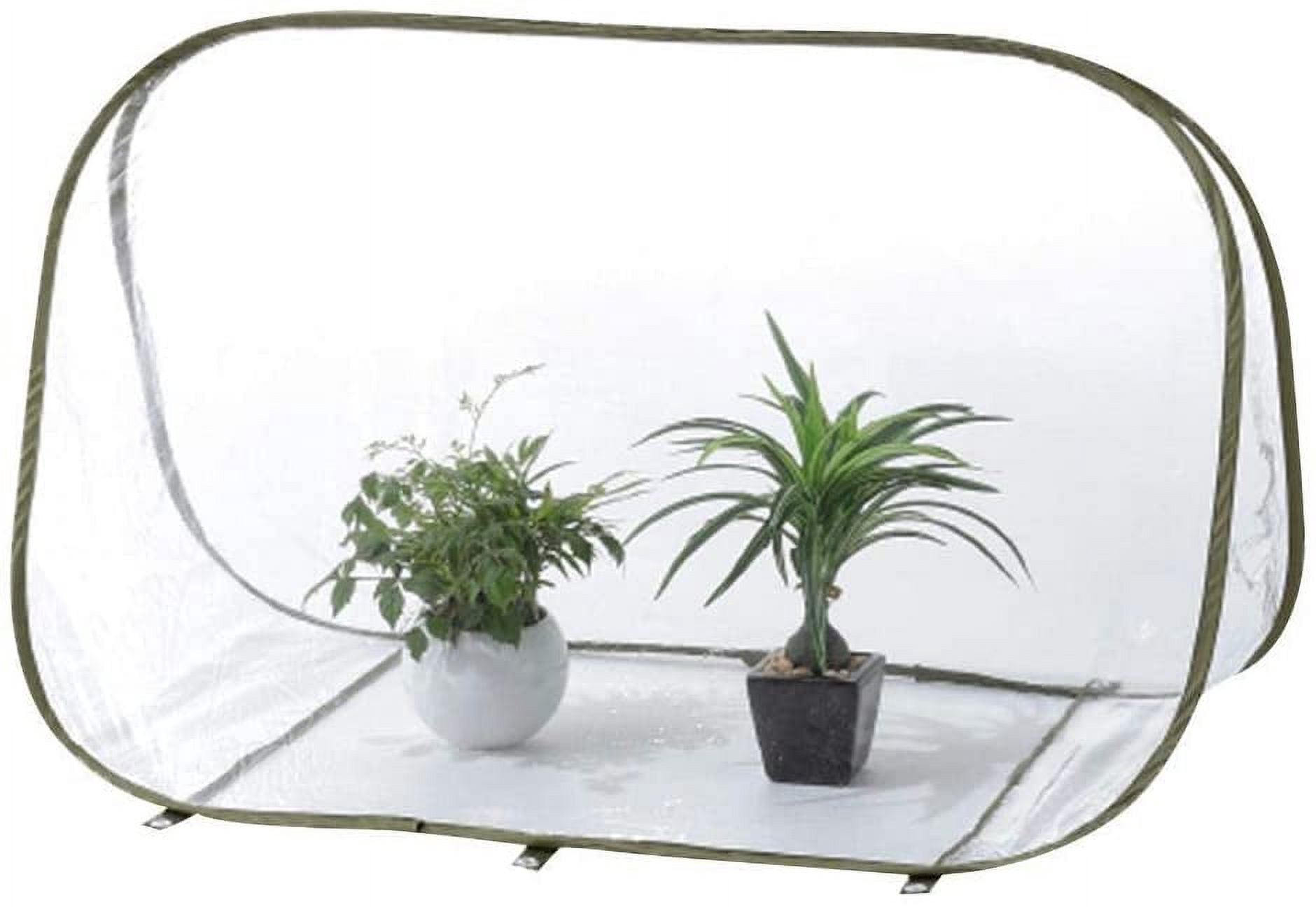Tente de Serre Miniature Transparente 90x52x62cm avec Clous en Acier