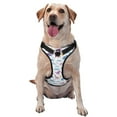 thumbnail image 1 of Balery Dinosaur Arnés para Perros Grandes Antitirones, Arnés con Correa para Gato, Arnés Tipo Chaleco para Perros Pequeños-Small, 1 of 6
