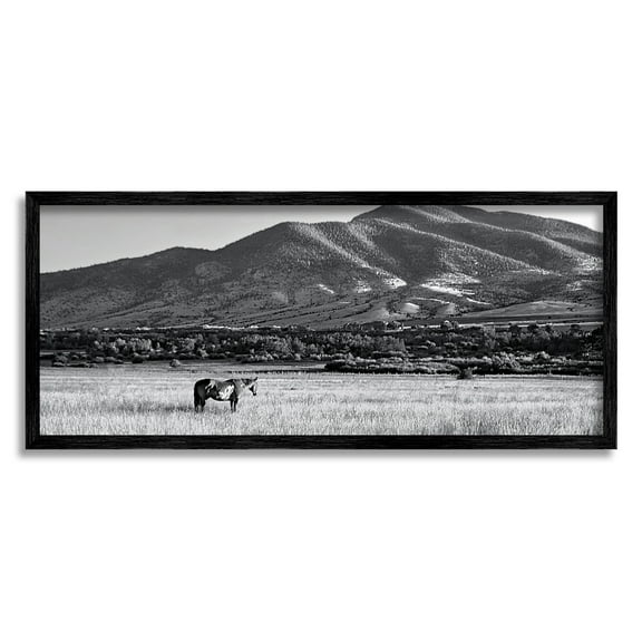 Stupell Industries Horse in Mountains Landscape Photography Black Framed Art Print Wall Art, 24 x 10