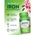 thumbnail image 5 of Easy Iron Supplement 28 mg | 90 Capsules | Iron Bisglycinate | by Nature's Truth, 5 of 7