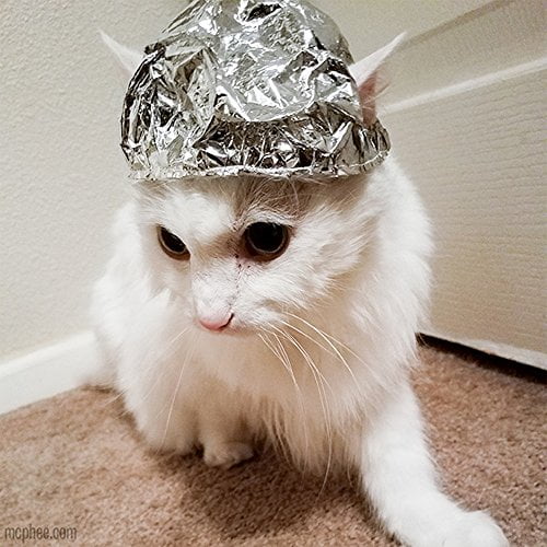 Optimisme Vænne sig til montage Archie McPhee Tin Foil Hats for Conspiracy Cats - Walmart.com
