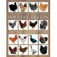 thumbnail image 2 of L'Encyclopédie Concise des Races de Volailles: un Répertoire Illustré de Plus de 100 Poules, Canards, Oies et Dindes, avec 275 Photographies, 2 of 5