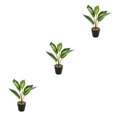 thumbnail image 4 of Plantas falsas bajo mantenimiento Toystoory ABS tortuga en maceta hojas artificiales para el hogar Oficina sala de estar JH5476 Type1 NO1, 4 of 6