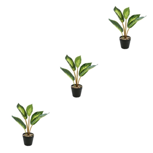 Planta de tortuga Billuyoard ecológica de bajo mantenimiento artificial para decoración de hogar y oficina