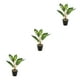 thumbnail image 1 of Planta de tortuga Billuyoard ecológica de bajo mantenimiento artificial para decoración de hogar y oficina, 1 of 6