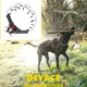 thumbnail image 5 of Collar de entrenamiento para perros, hebilla de Metal de liberación rápida reflectante, Collar ajustable para perros MFZFUKR CPB-US-YY50-5, 5 of 5