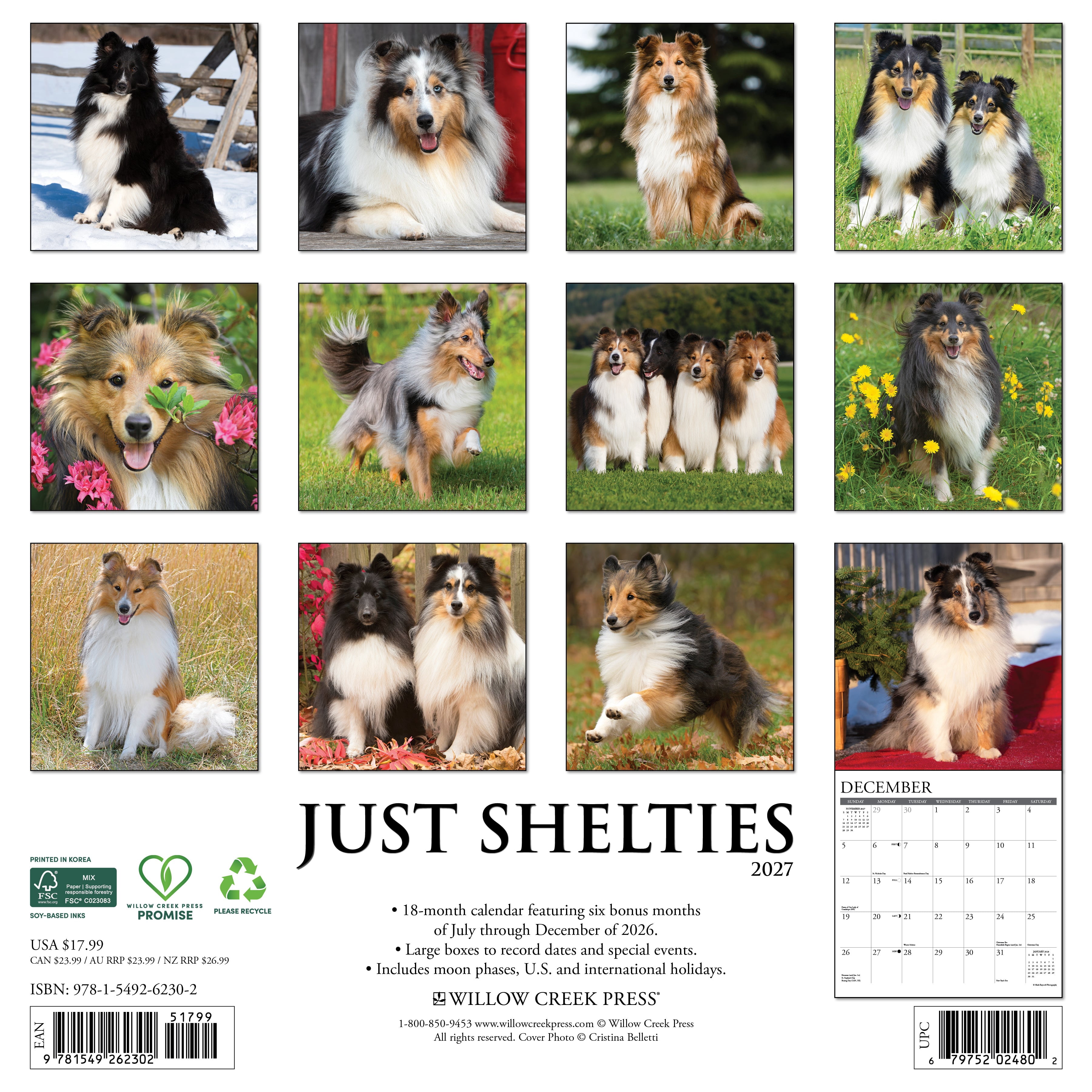 Willow Creek Press, Shelties 2027 Wall Calendar