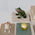 thumbnail image 3 of Creative Co-Op Jeweled Frog Trinket Box, Green, 3 of 11