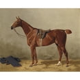 thumbnail image 2 of Emil Volkers 24x20 Gold Ornate Framed and Double Matted Museum Art Print Titled - Saddled Sports Horse (1895), 2 of 4