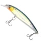 thumbnail image 3 of Señuelos de pesca Ticfox luminosos PVC Grado profesional, 3 of 9