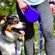 thumbnail image 2 of Multifunction Small Pet Dog Leash Rope for Big Dog collar with Built-in Water Bottle Bowl Waste Bag Dispenser dog accessories, 2 of 4