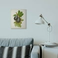 thumbnail image 3 of Stupell Industries Vintage Fruit Plum Painting Canvas Wall Art by Vision Studio, 3 of 3