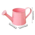 thumbnail image 7 of 1L Long Spout Metal Watering Can, Garden Sprinkling Can for Indoor & Outdoor Plants, Lawn & Gardening Use,Beige, 7 of 7