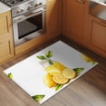 thumbnail image 2 of 2x3 Ft Entryway Area Rug, Summer Lemon Kitchen Rug Runner Washable Floor Mat, Yellow Watercolor Pastel Country Retro Non Slip Indoor Door Mat Throw Carpet for Bathroom Living Room Bedroom, 2 of 8