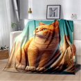 thumbnail image 1 of Couverture Ragdoll Chat Persan Calico Chat Garfield Couverture Douce pour Maison Chambre Lit Canapé Couverture Enfants, 1 of 7