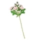 thumbnail image 5 of 8 Cabezas de Flores Rosas Artificiales de Ramificación Larga para Decoración de Bodas Rosa blanco, 5 of 9