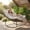 Dark Gray, variant on Outdoor Papasan Rocking Chair Oversized, Egg Rocker Chair with Soft Cushion, 30° Rocking Patio Lounge Chair for Porch Backyard Living Room, Dark Gray