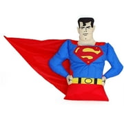 Superman Snuggler