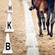 thumbnail image 2 of P V S R 4cs Letras Doma Coneset Incluye Conos Puertos Elásticos, 2 of 9
