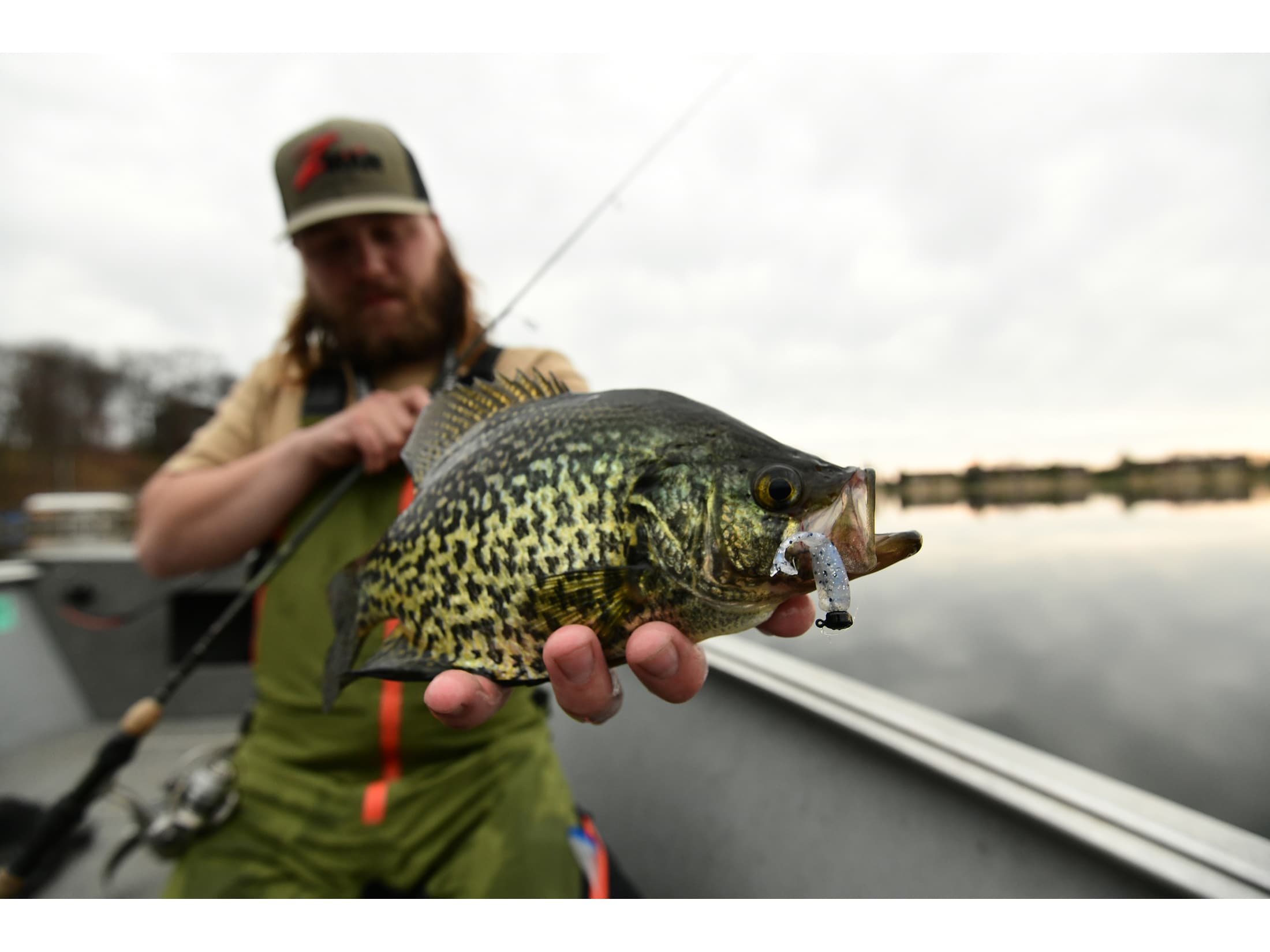Z-Man Shad FryZ 175