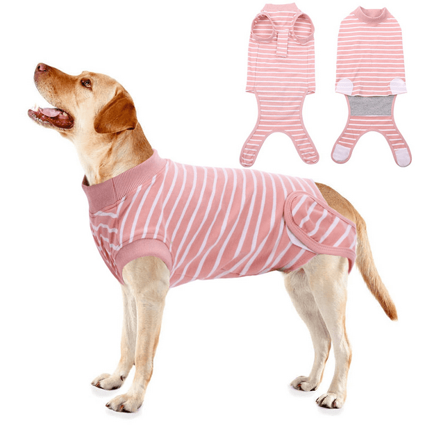 QBLEEV Recovery Suit for Dogs After Surgery, Alternative ECollars