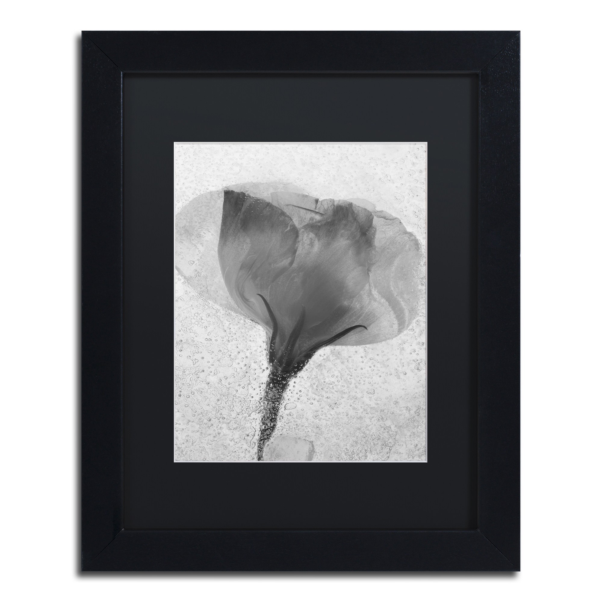 Trademark Fine Art "Flowers on Ice BW-2" Canvas Art by Moises Levy, Black Matte, Black Frame