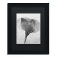 thumbnail image 2 of Trademark Fine Art "Flowers on Ice BW-2" Canvas Art by Moises Levy, Black Matte, Black Frame, 2 of 5