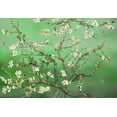 thumbnail image 2 of wall26 - Green Almond Blossom by Vincent Van Gogh - Wall Mural, Removable Sticker, Home Decor - 100x144 inches, 2 of 6