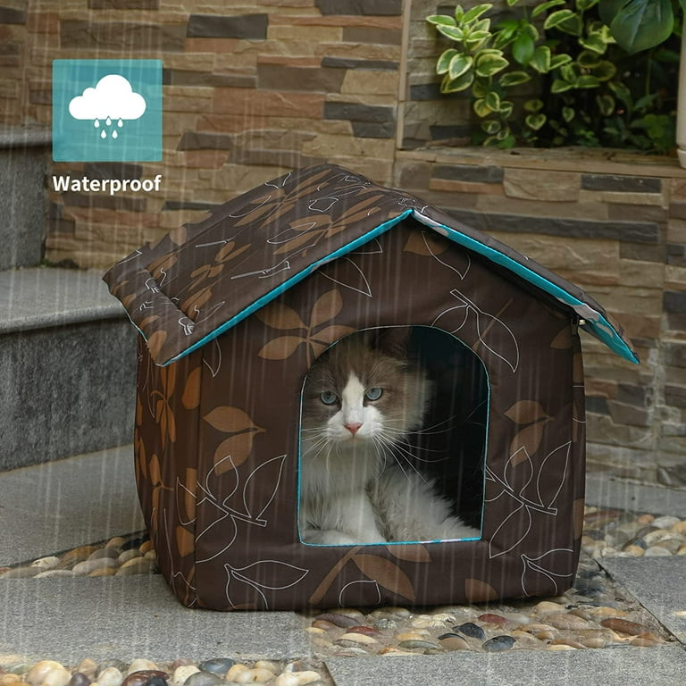 Feral cat pod hotsell