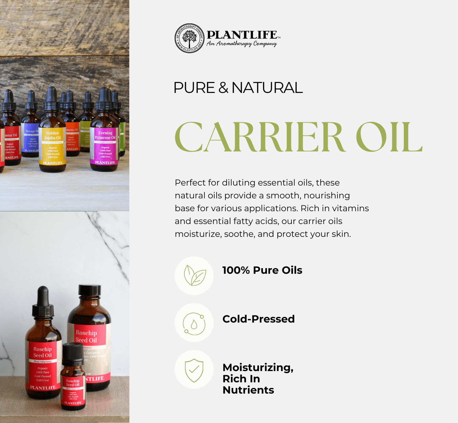 Plantlife Golden Jojoba Carrier Oil - Cold Pressed, Non-GMO, and Gluten Free Carrier Oils - For Skin, Hair, and Personal Care - 4 oz