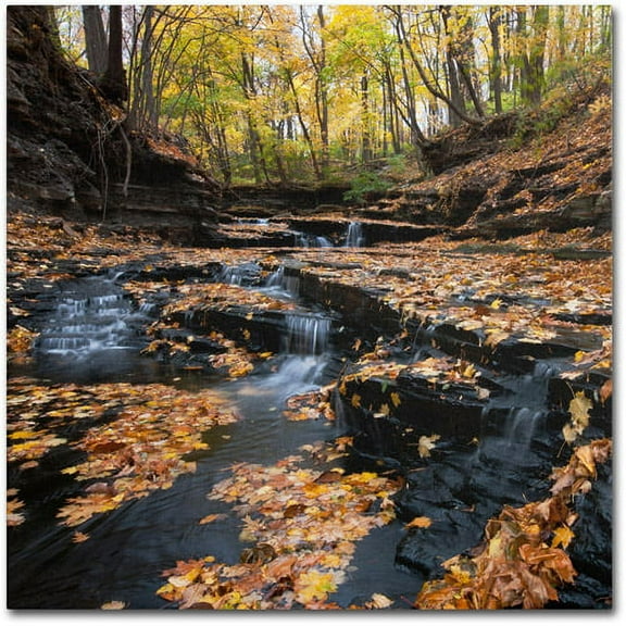 Trademark Fine Art "Late Autumn Falls" Canvas Art by Kurt Shaffer